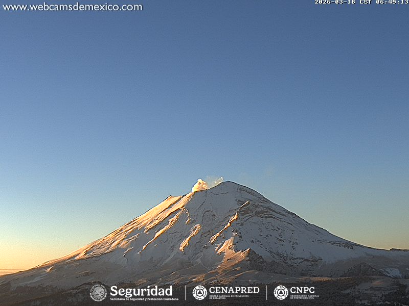 Webcams de México tweet media