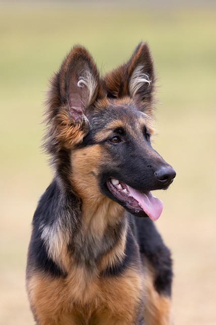 Debbie Nelson tweet media