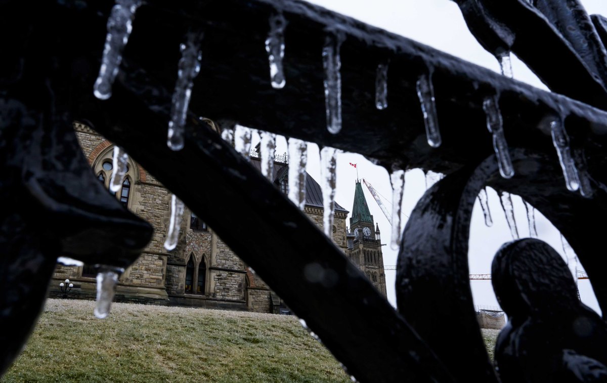 kady o'malley tweet media