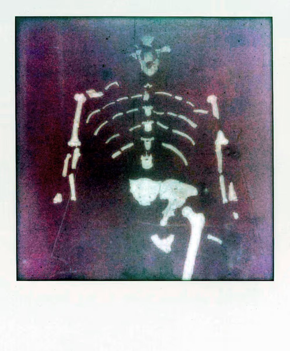 Mike Stuart tweet media