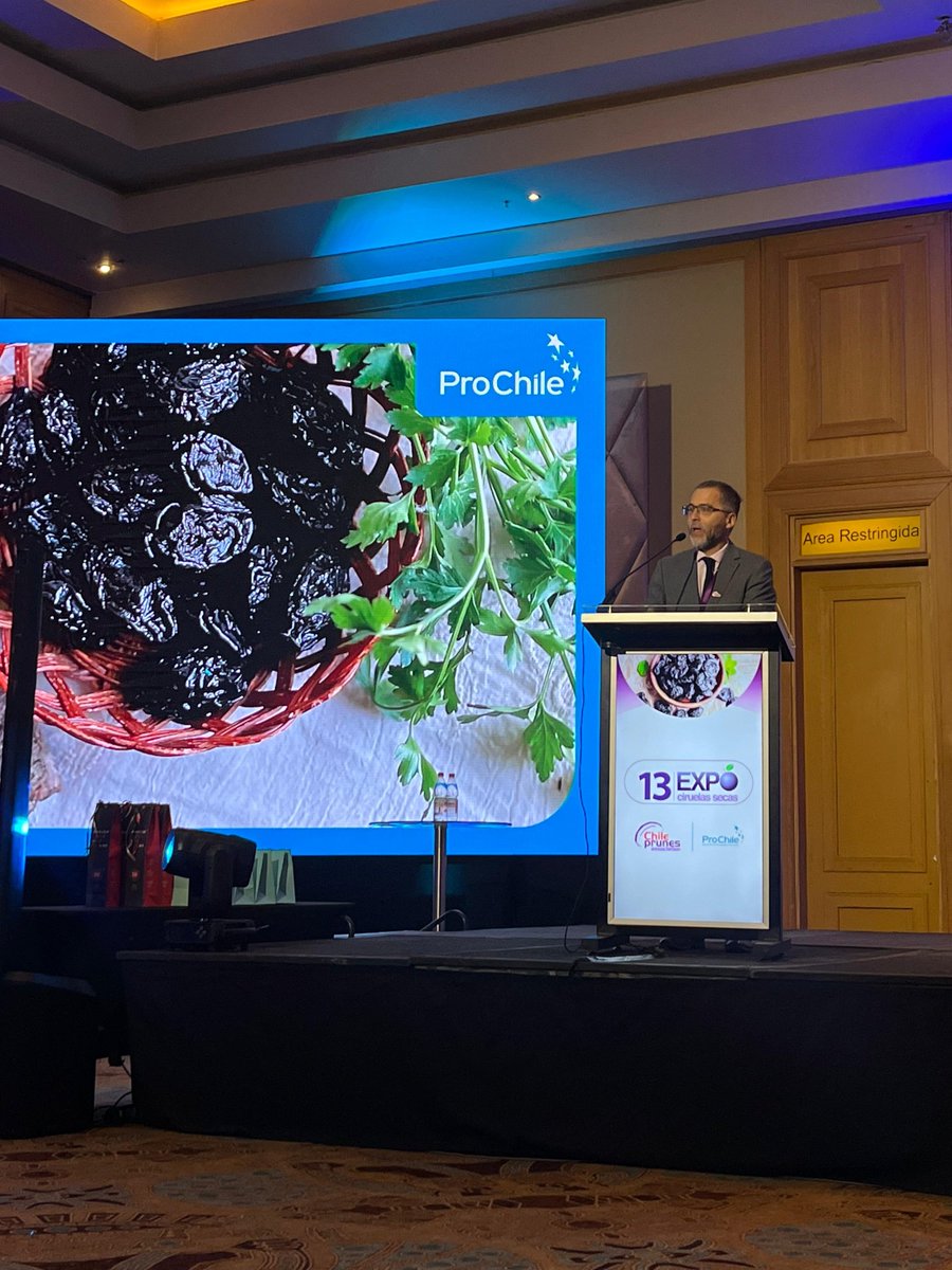 ProChile tweet media