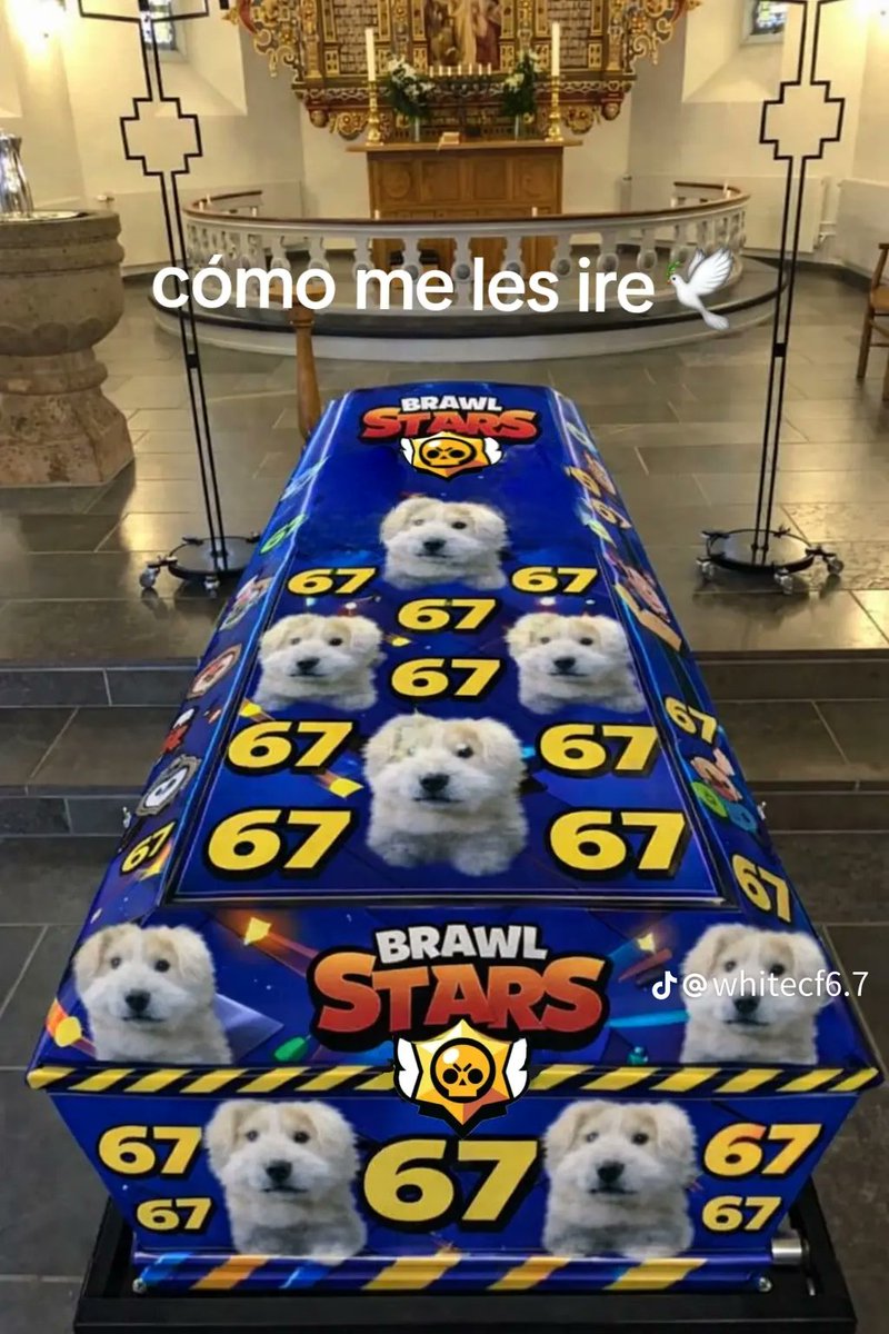 Luuber 😺 tweet media