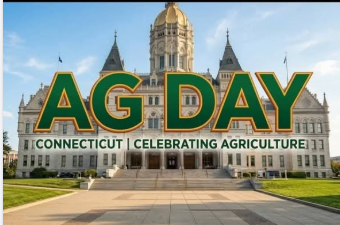 Connecticut State Capitol Information and Tours tweet media