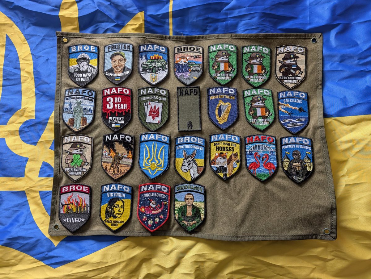 Shenanigans Fella tweet media