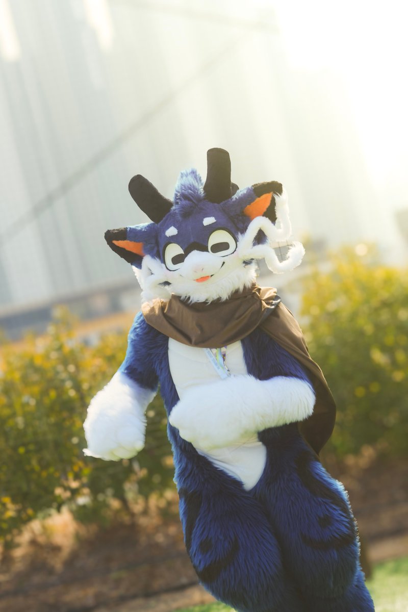 Shin_Nyong/シンニョン tweet media