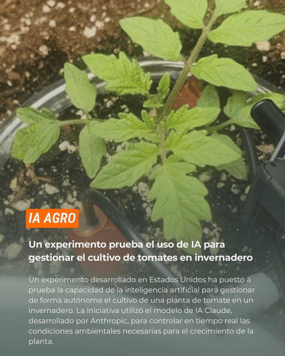 huerta_digital's tweet image. Un experimento en Idaho puso a Claude (Anthropic) al mando de una planta de tomate: la IA monitorizó y ajustó luz, riego y clima, detectó un fallo y restauró sistemas en minutos. 

Amplía en @hortidaily 📲➡️ hortidaily.es/article/981877… 🌱 #IA #tomates