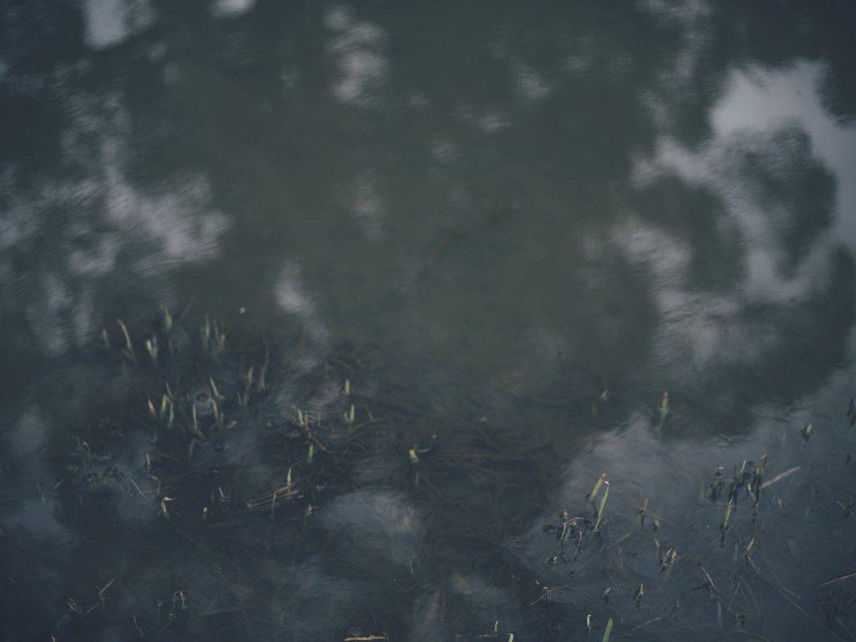 Minehiro Iriguchi 入口 峯広 tweet media