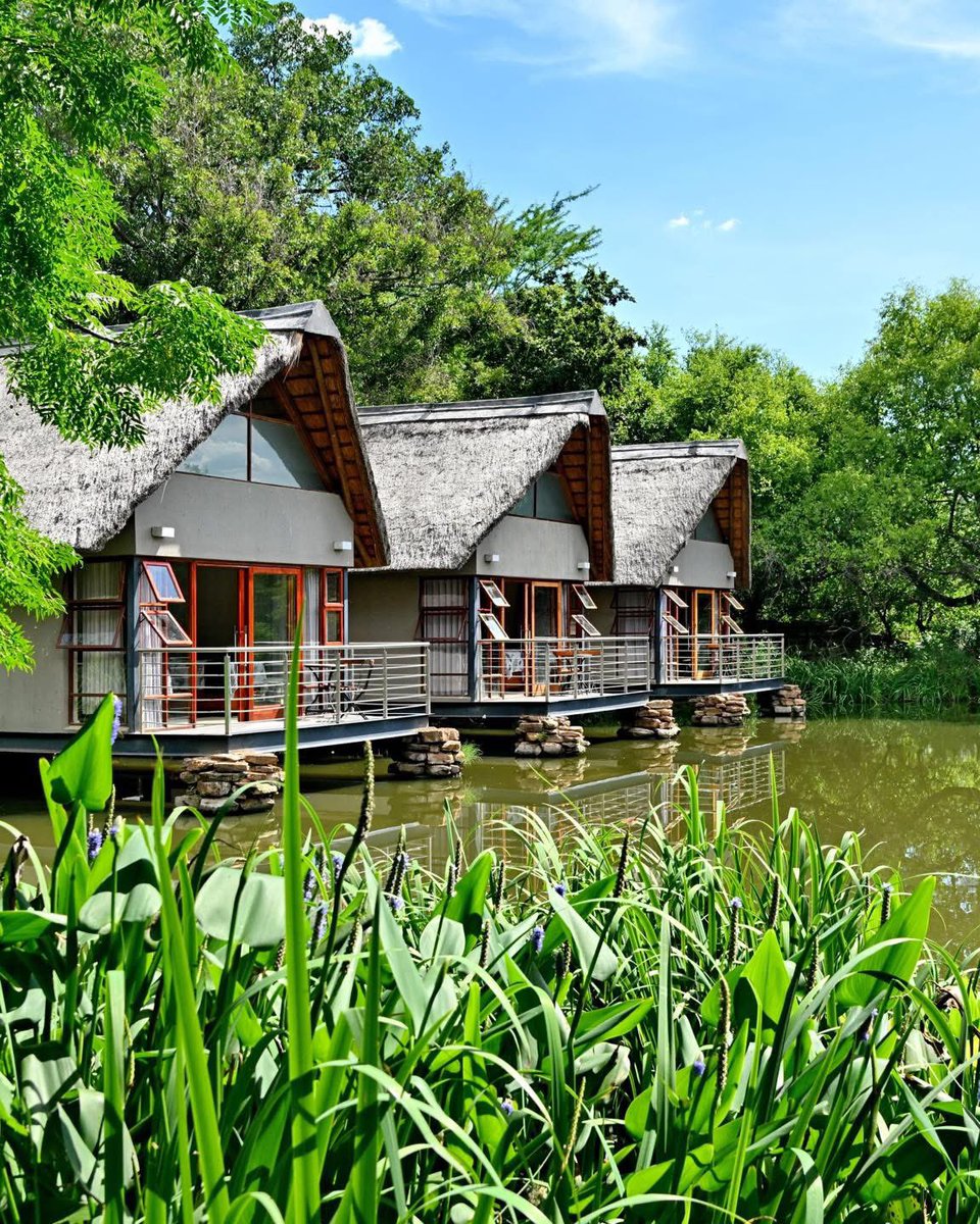 Raesetja tweet media