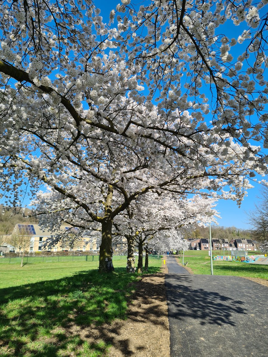 John De berg. tweet media