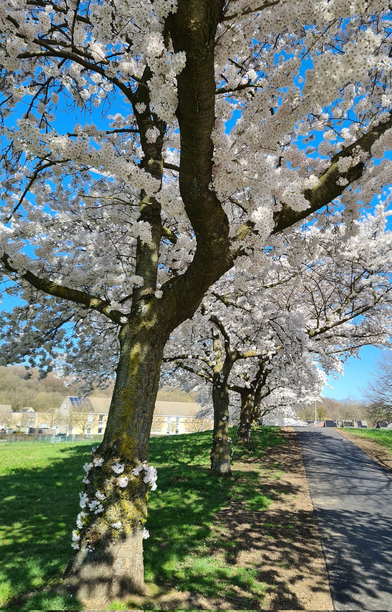 John De berg. tweet media