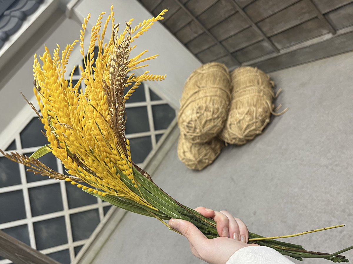 結木 美咲 tweet media