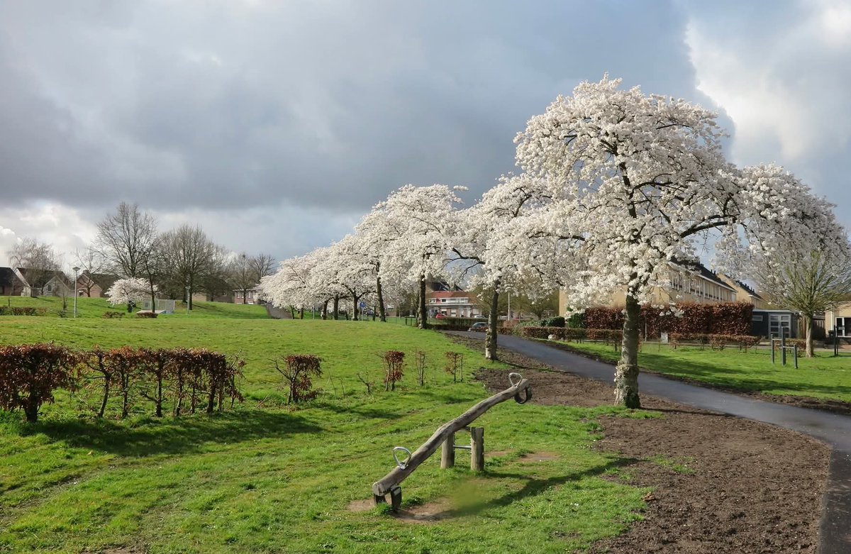 John De berg. tweet media