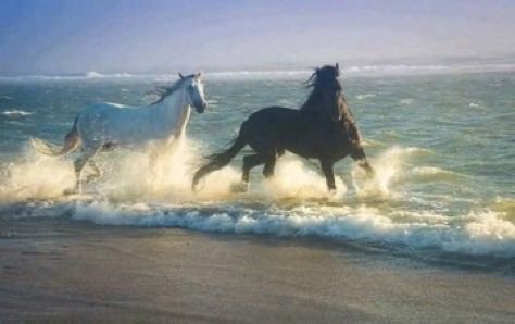 marcio 🇦🇶 tweet media