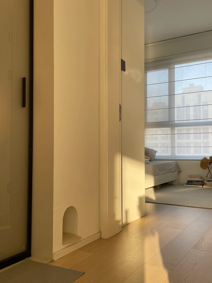 David schulteis CARP tweet media