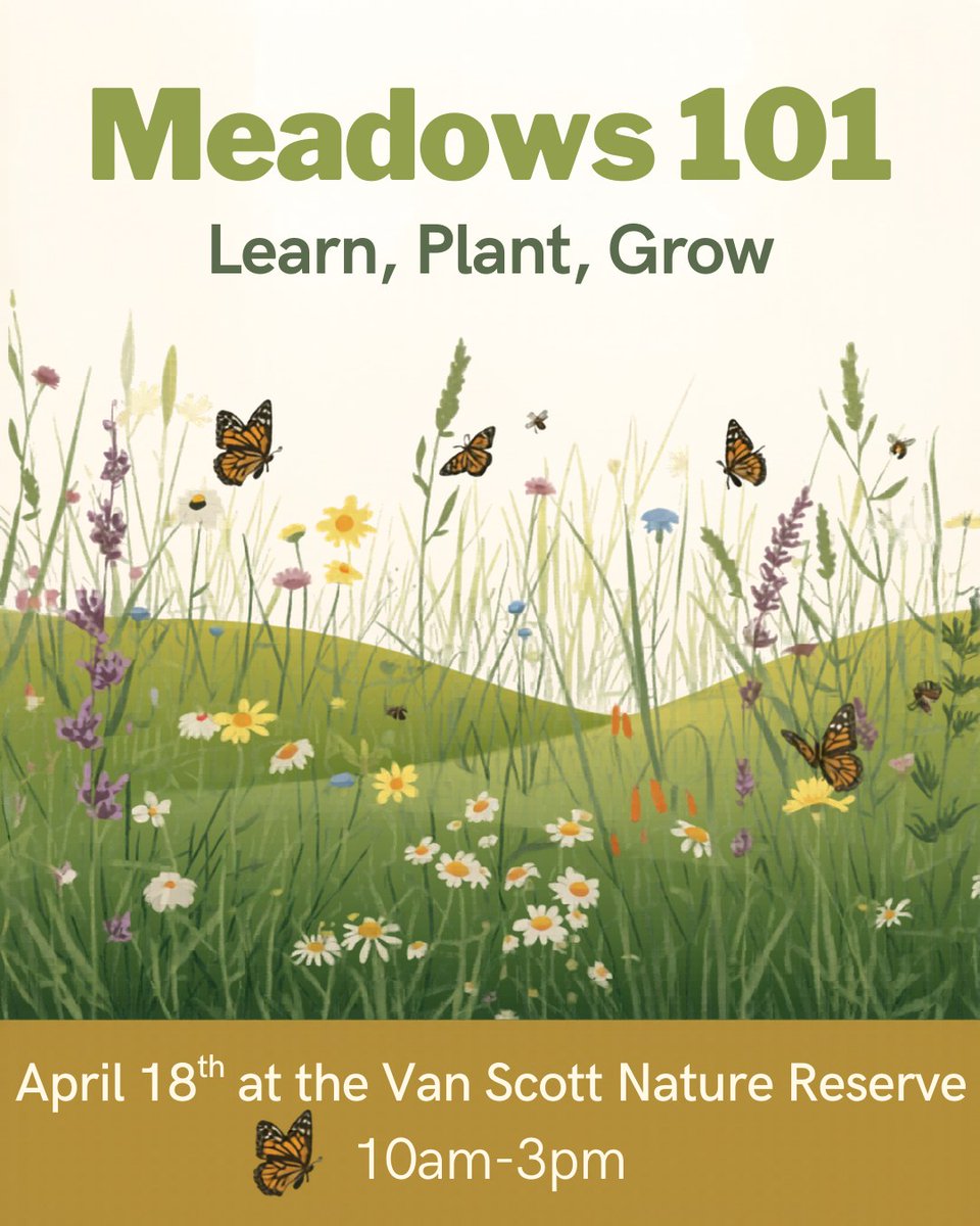 Wayne Tomorrow! tweet media