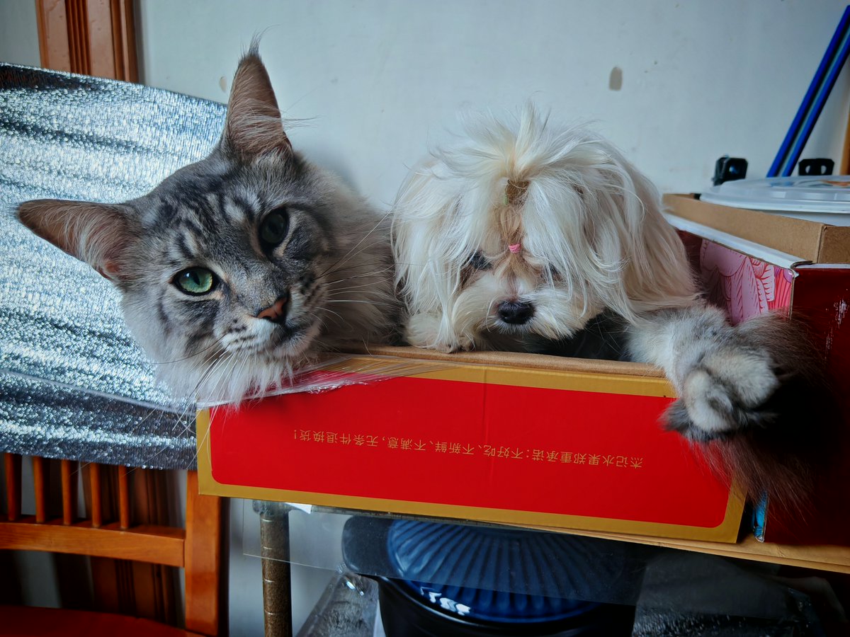 horalbert66 tweet media