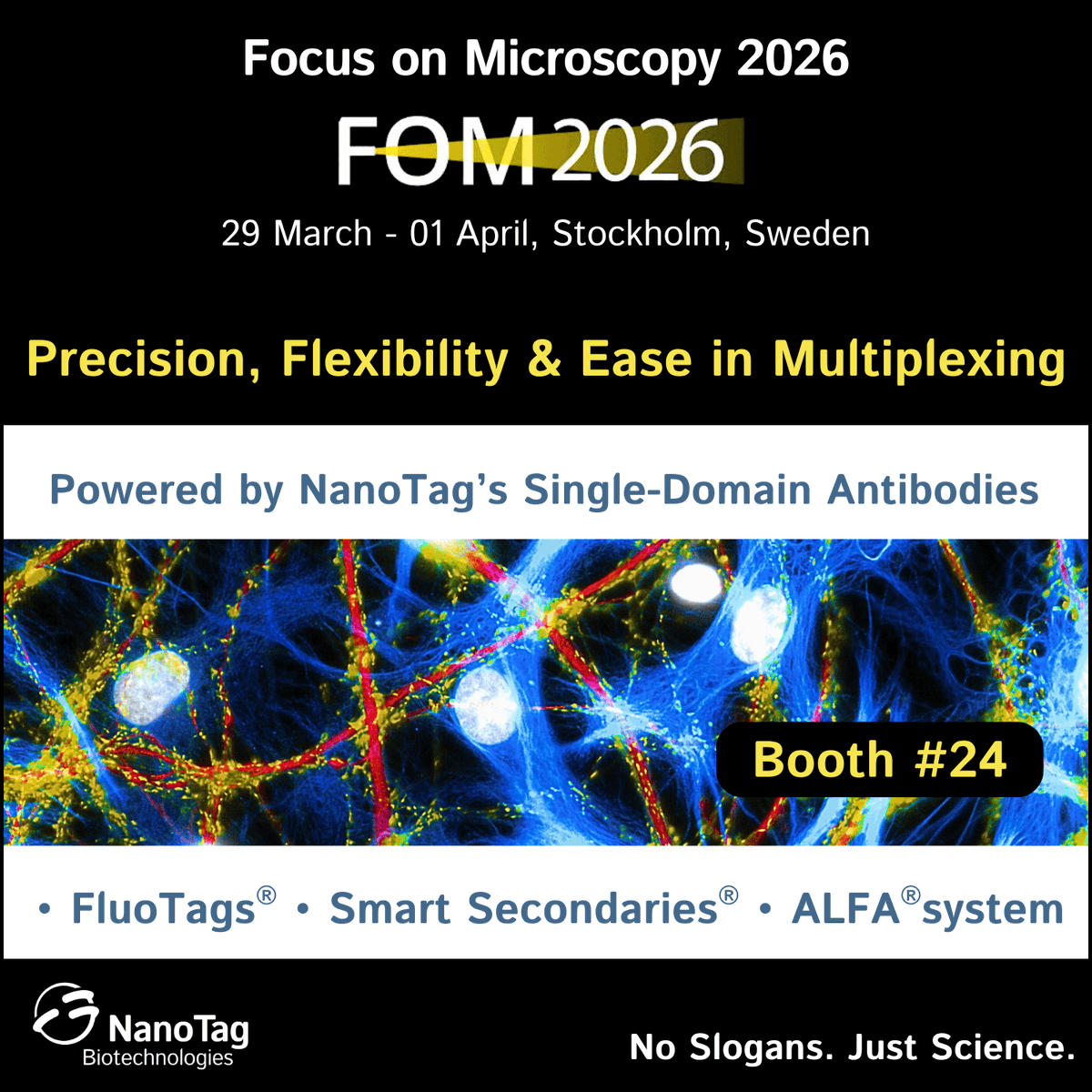 NanoTag Biotechnologies tweet media