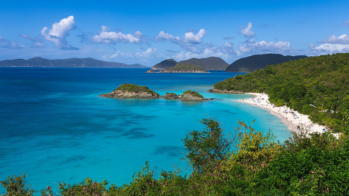 Dan Mall tweet media