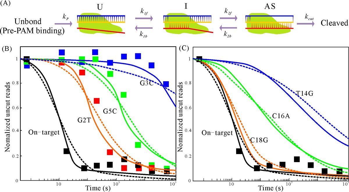 PRX Life tweet media