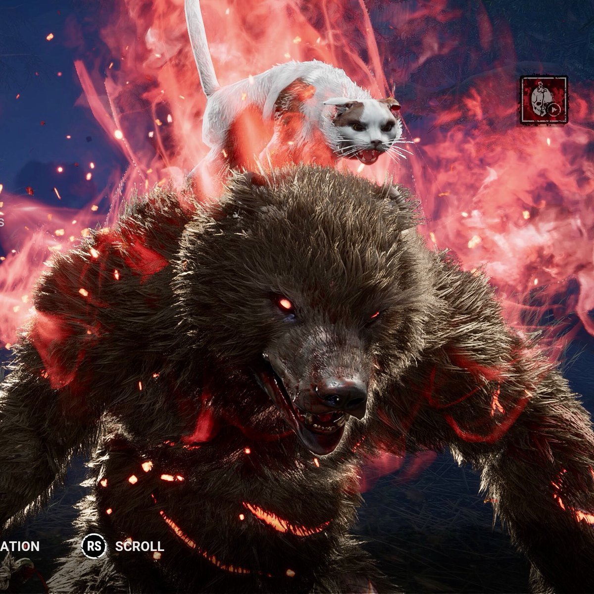 FreshPearspective tweet media