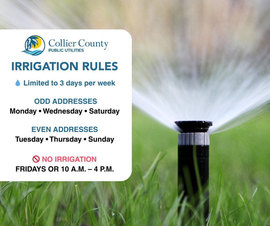 KeepCollierBeautiful tweet media