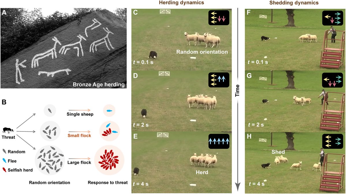 Science Advances tweet media