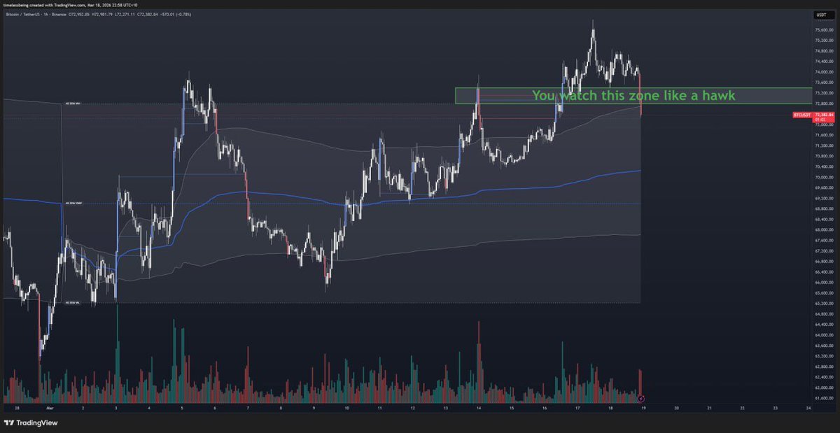 TimelessBeing tweet media