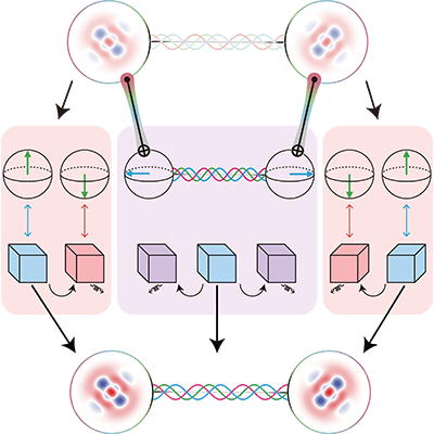 Physical Review Letters tweet media