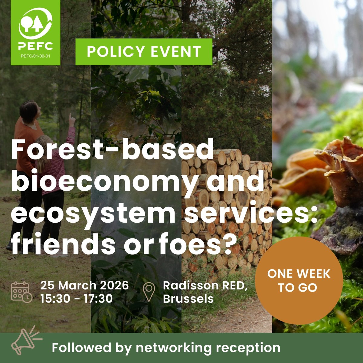 PEFC International tweet media