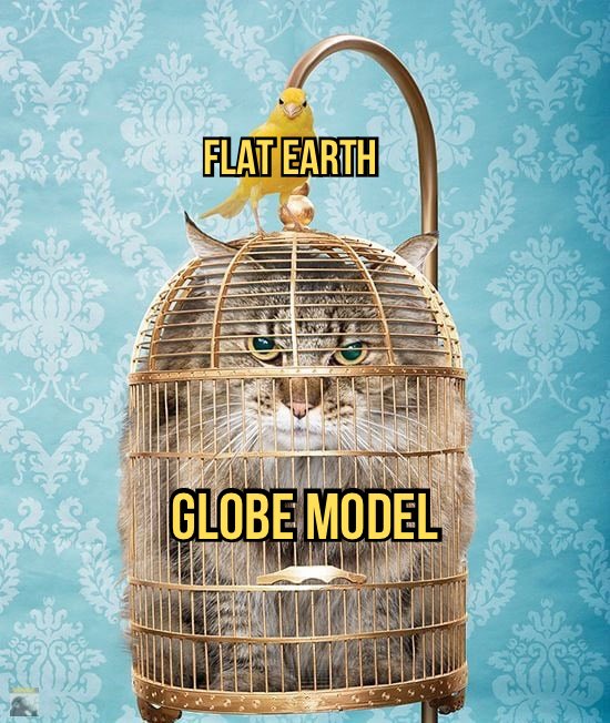 truthache tweet media