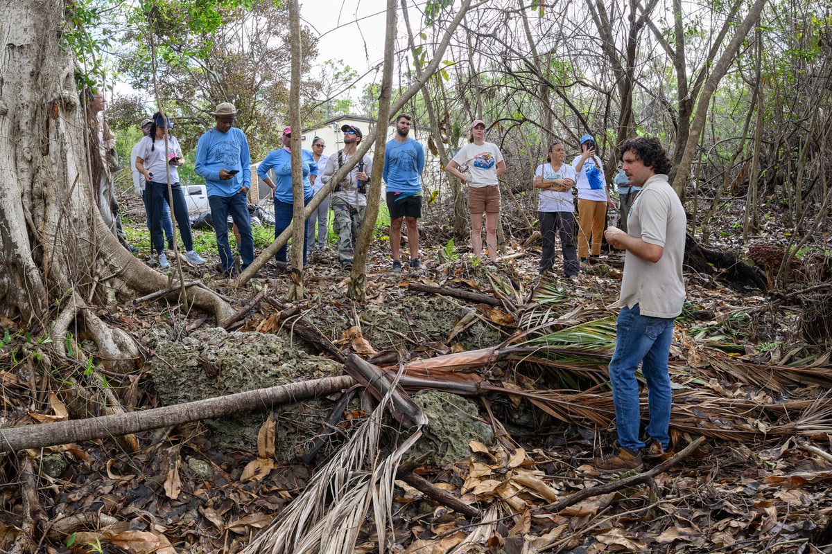 Miami-Dade Environment tweet media