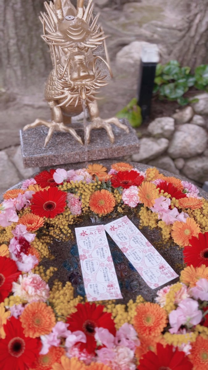 しろにゃん tweet media