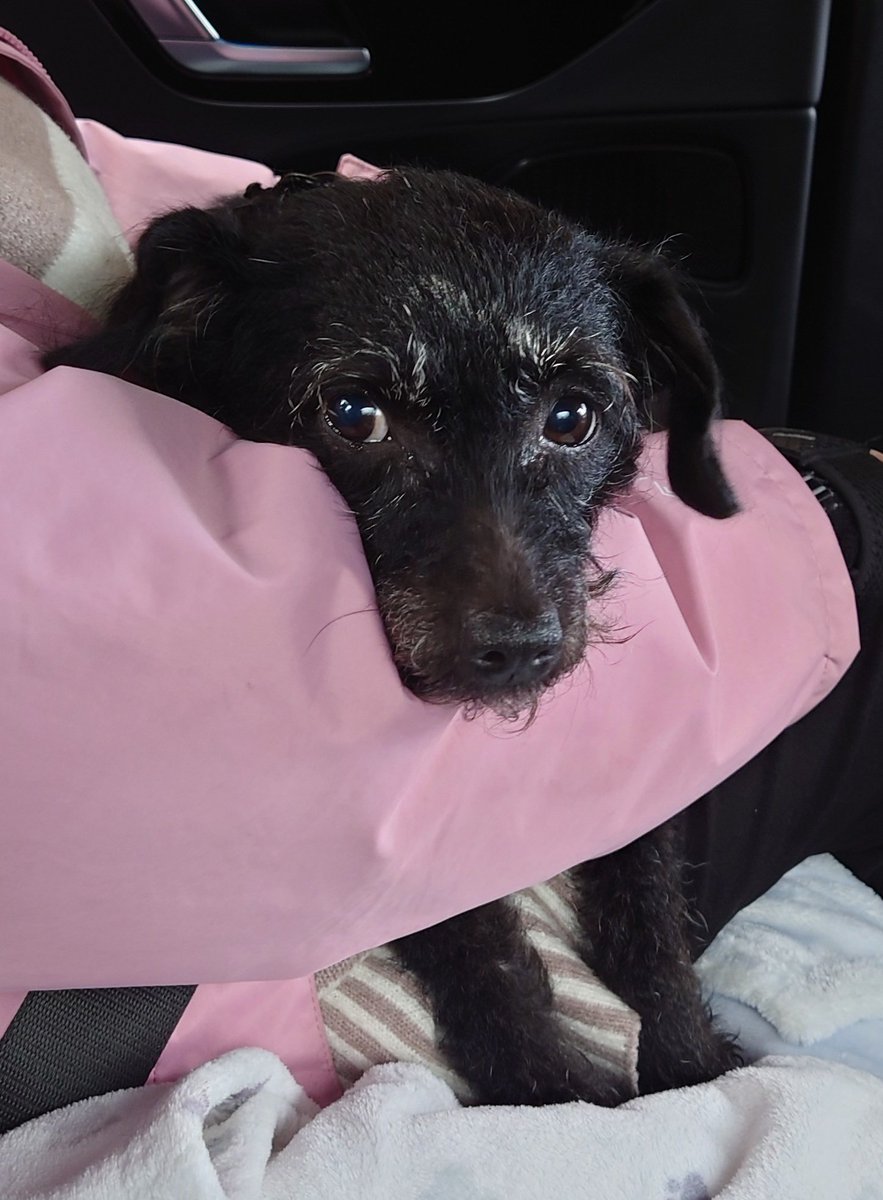 Mistie 🎮💙 MHST3 addiction incoming tweet media