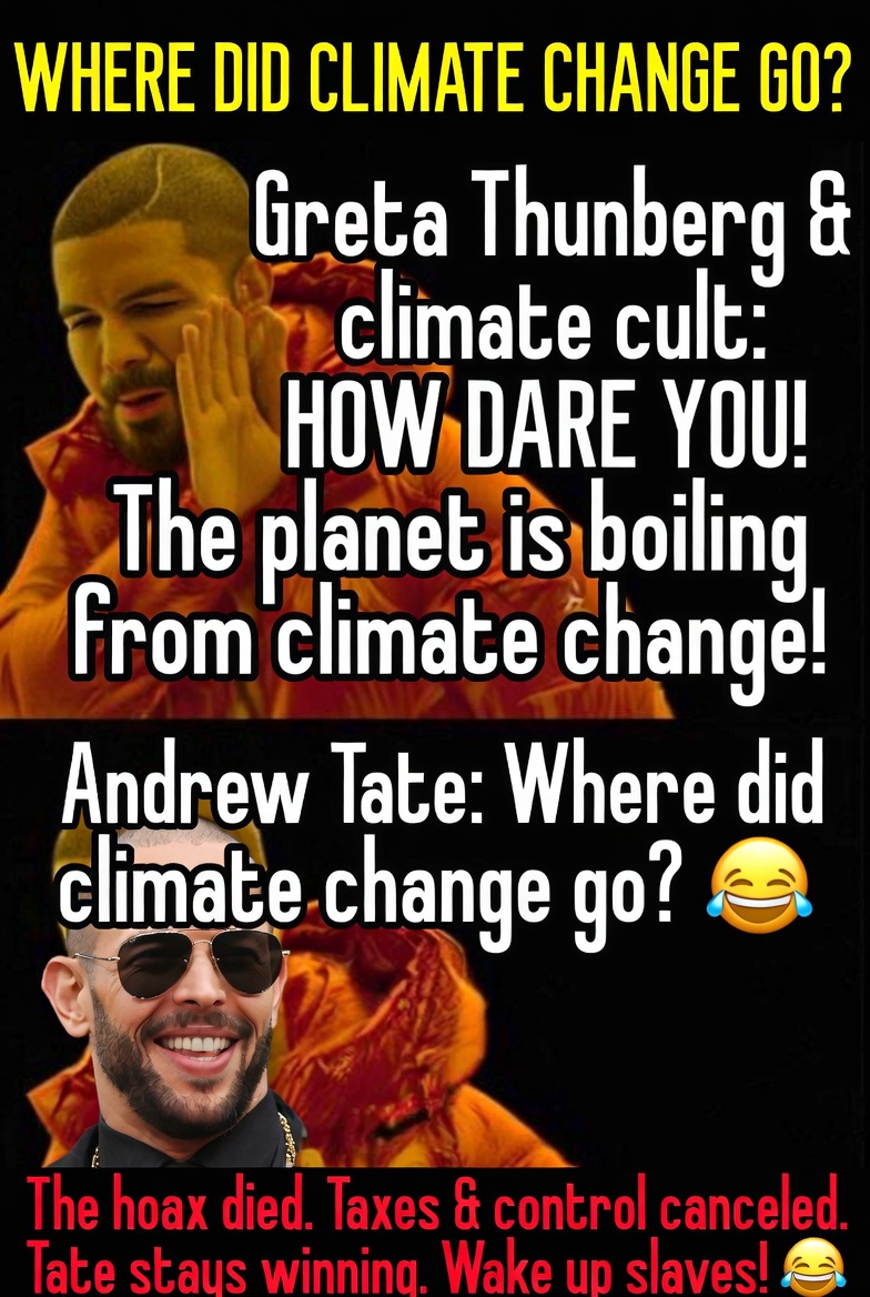 The Big stepper tweet media