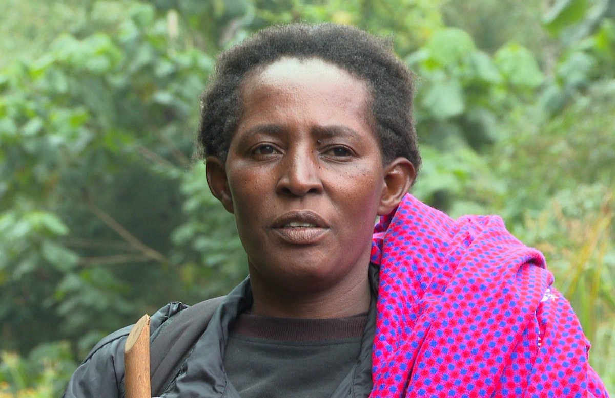 @Defenders Coalition 🇰🇪 tweet media