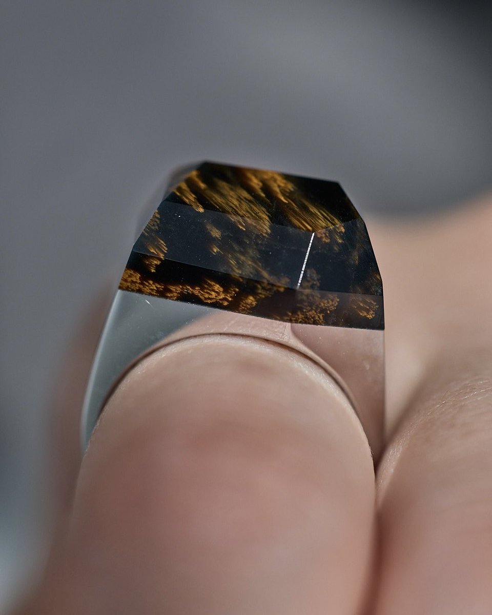 bororo official tweet media