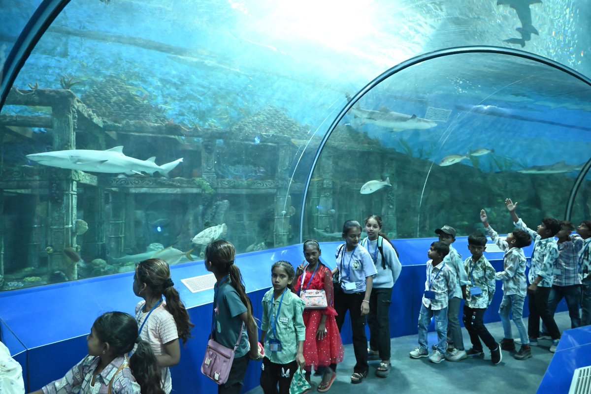 GujScienceCity's tweet image. વિજ્ઞાન હવે બોરિંગ નથી!
ગુજરાત સાયન્સ સિટીમાં દરેક એક્ઝિબિટ તમને વિચારવા, સમજવા અને ખુદ અજમાવવા માટે પ્રેરિત કરે છે. આવો, જુઓ, સમજો… અને વિજ્ઞાન સાથે મજાનો અનોખો અનુભવ માણો!
#ScienceIsFun #ExploreAhmedabad #Edutainment #KidsLearning @PMOIndia @CMOGuj @GovernorofGuj @IndiaDST