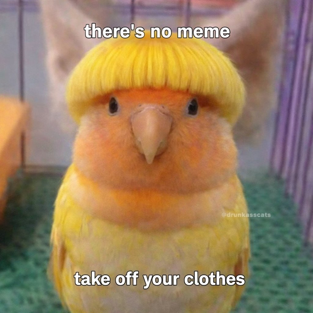 FAKEMOEE tweet media