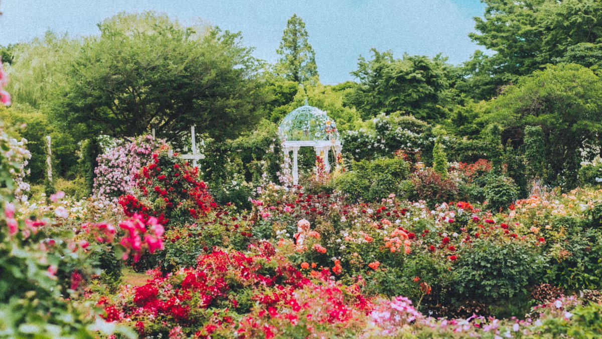 𝙎𝙊𝙉𝘼. tweet media