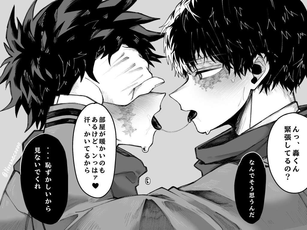 野良猫 tweet media