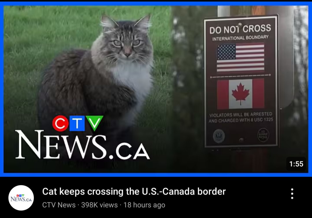 conversational amelia earhart tweet media