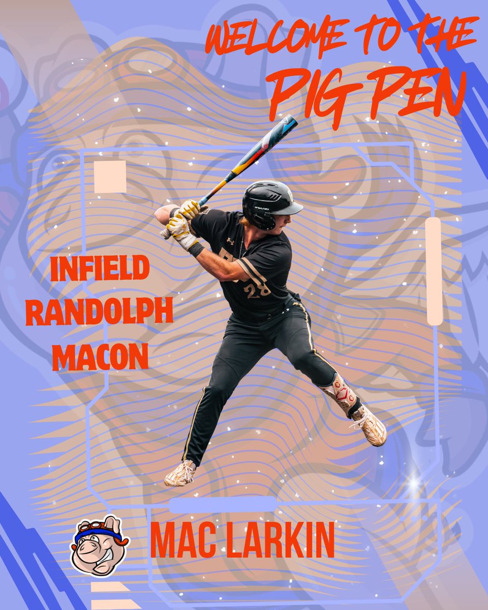 Lexington Flying Pigs tweet media