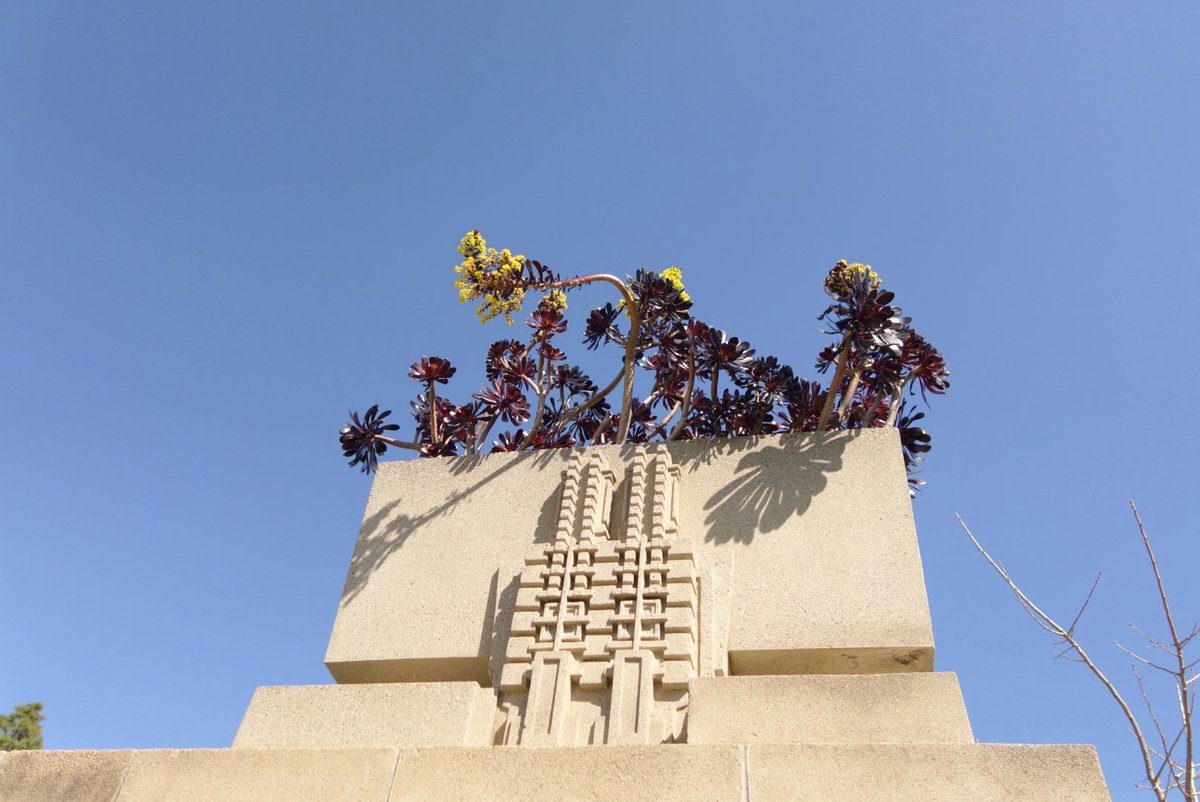 Evan Applegate tweet media