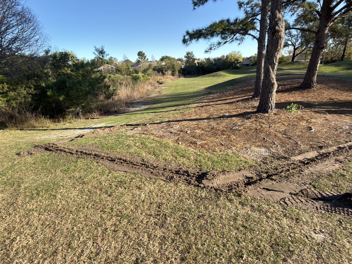 Joshua Sandel tweet media