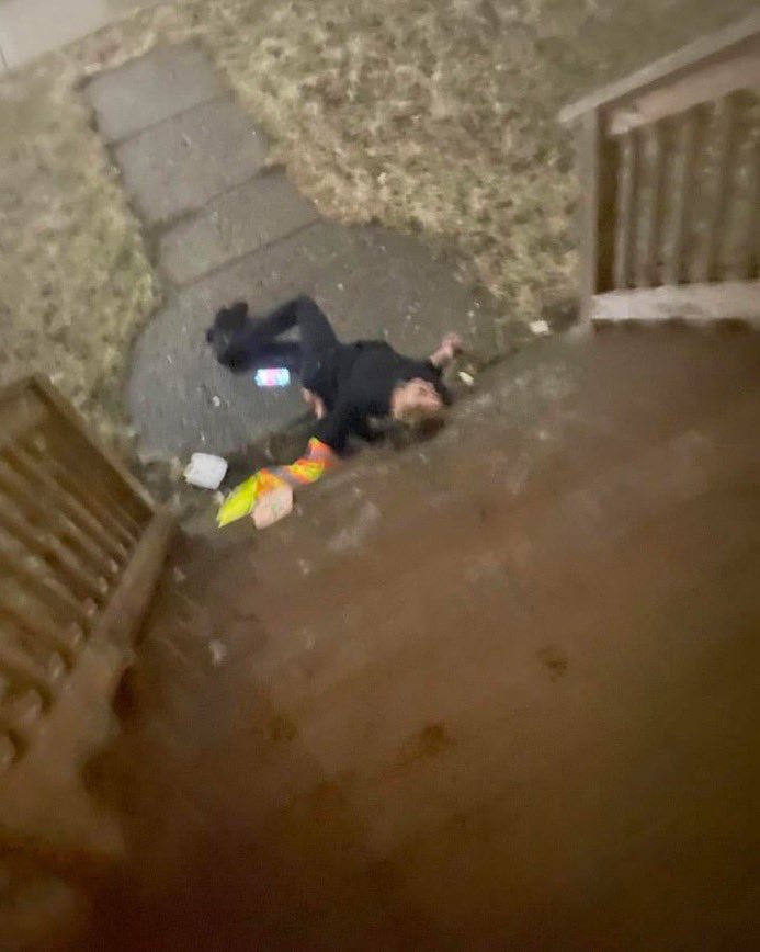 Growly 💙 tweet media