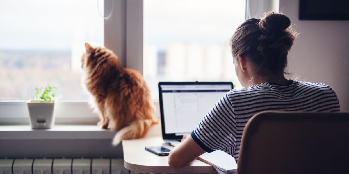 Hellowork tweet media