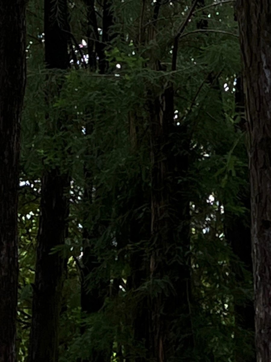 이웅기 tweet media