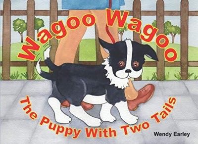 PARESH PATEL tweet media