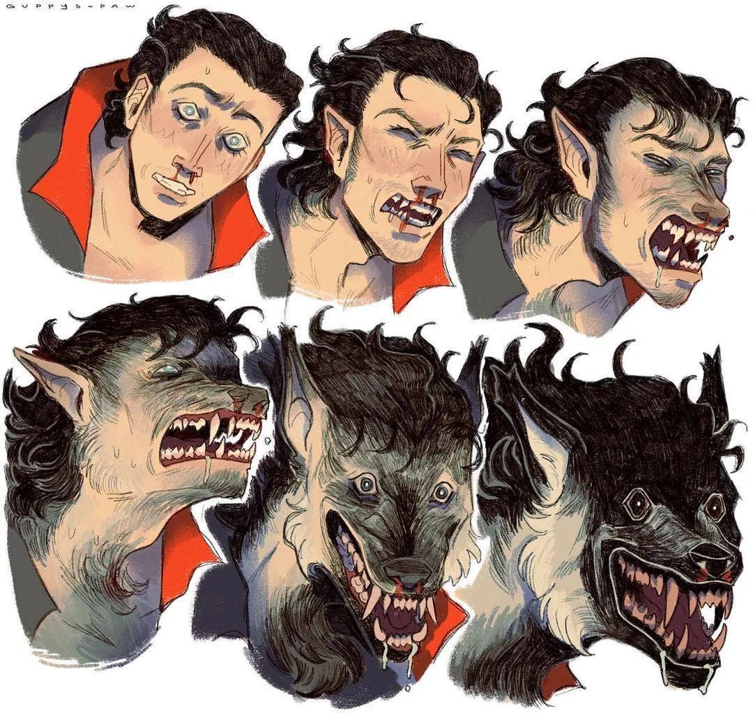 PmAmTraveller tweet media