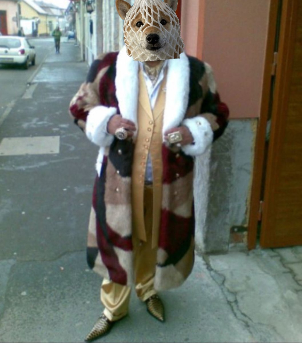 Wrapped Dog Favorites tweet media